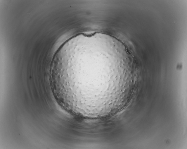 X0000091340051200709071226