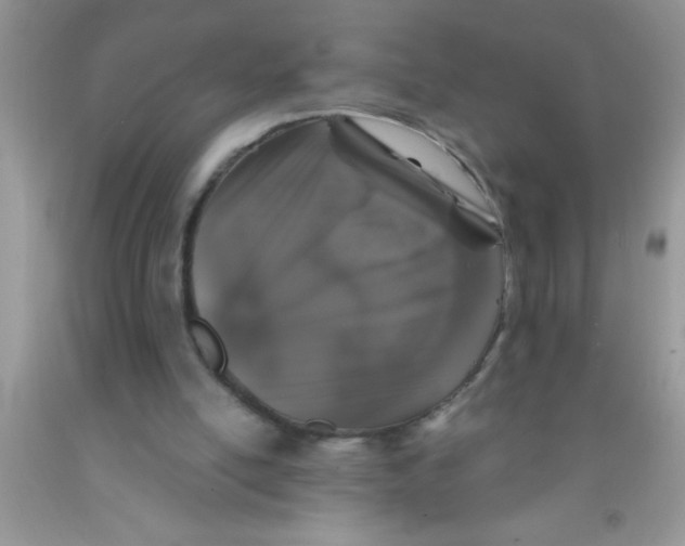 X0000091340054200709071226