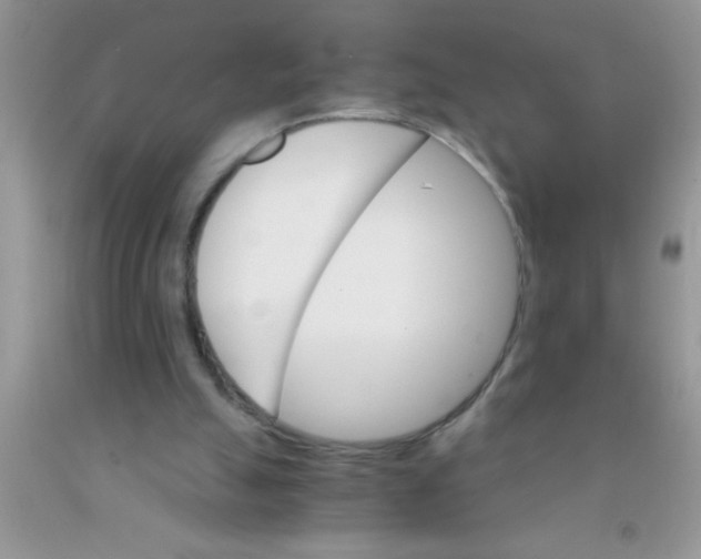 X0000091340055200709071226