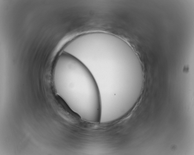 X0000091340056200709071226