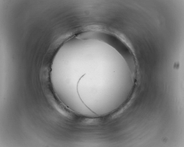 X0000091340057200709071226