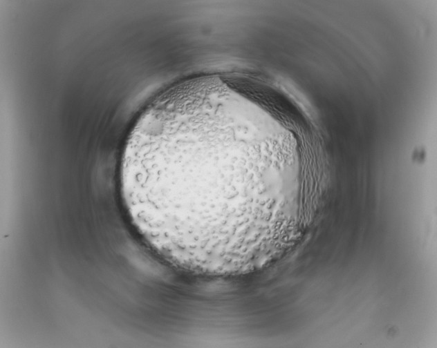 X0000091340058200709071226