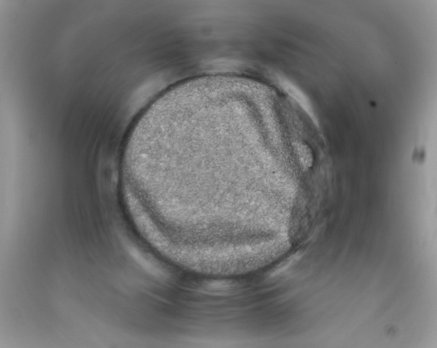 X0000091340059200709071226