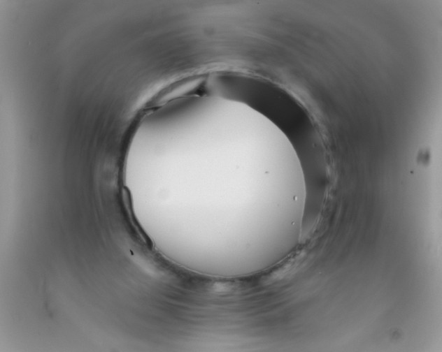 X0000091340060200709071226