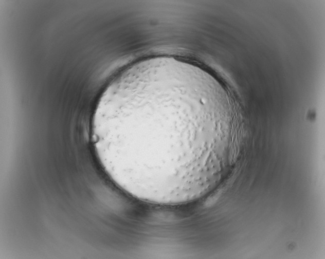 X0000091340062200709071226