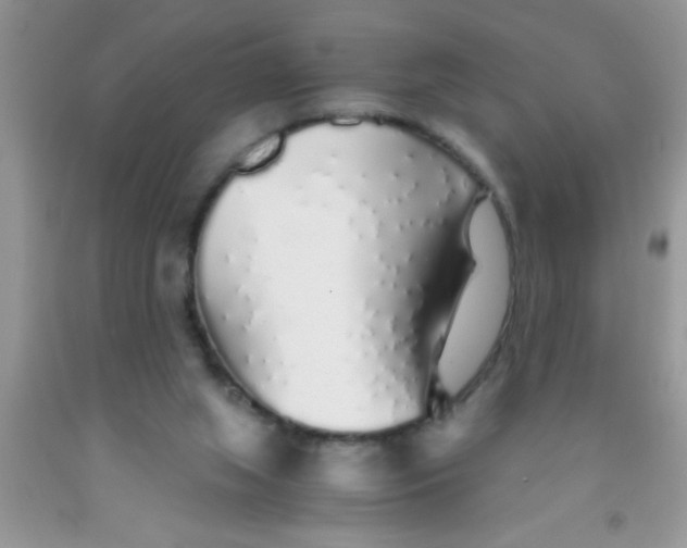 X0000091340063200709071226