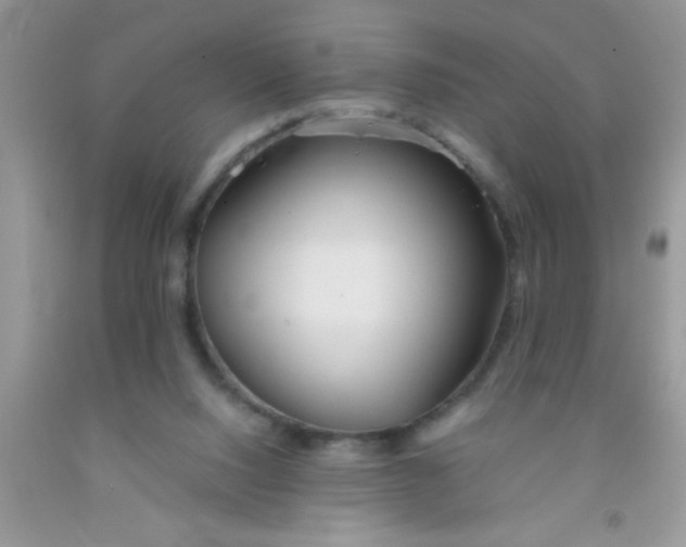 X0000091340064200709071226