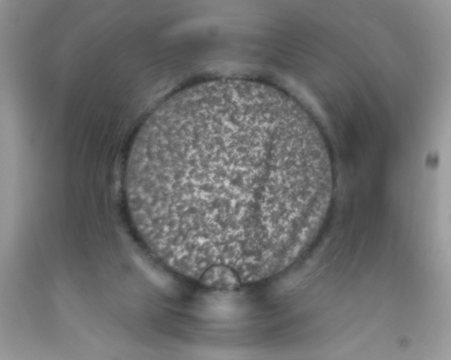 X0000091340065200709071226