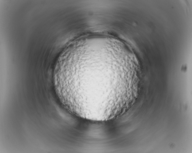 X0000091340066200709071226