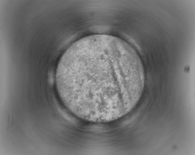 X0000091340069200709071226