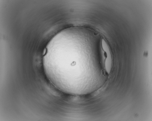 X0000091340074200709071226