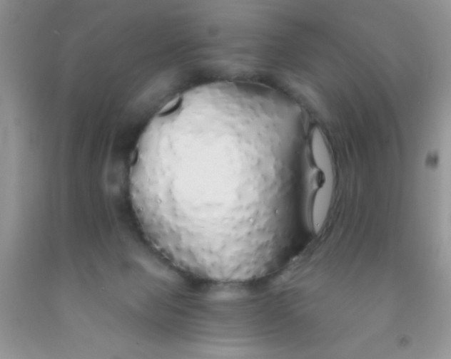 X0000091340077200709071226