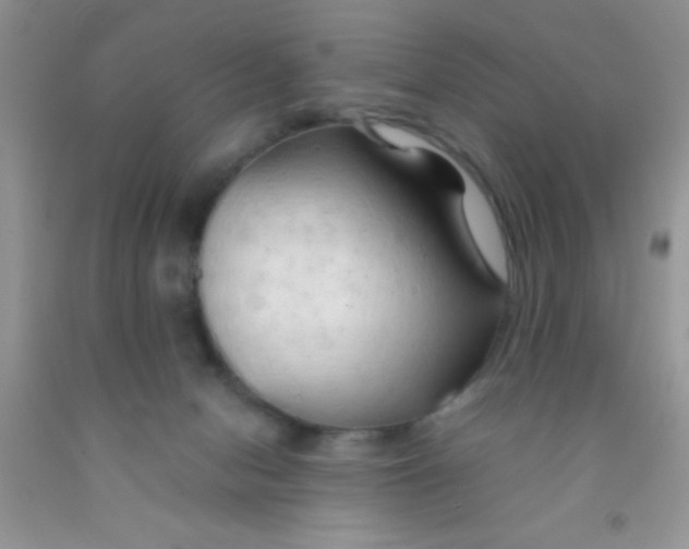 X0000091340078200709071226