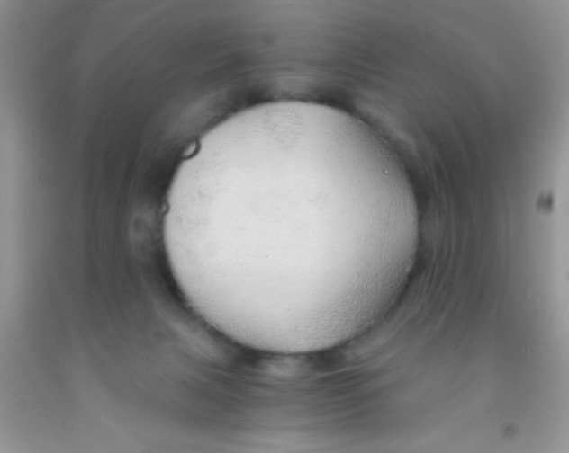 X0000091340079200709071226