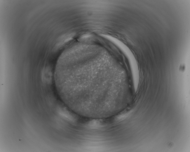 X0000091340080200709071226