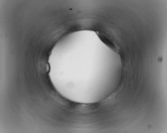 X0000091340082200709071227