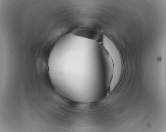 X0000091340084200709071227