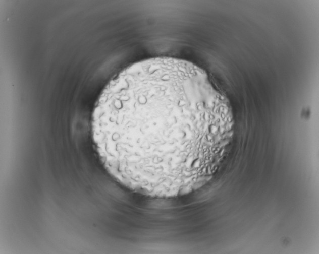 X0000091340085200709071227