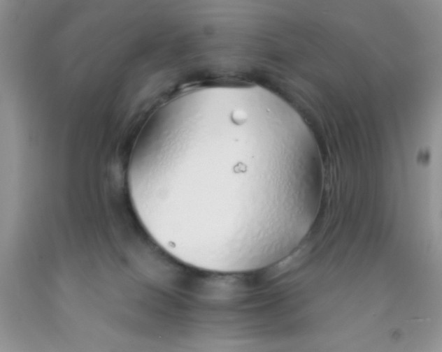 X0000091340086200709071227