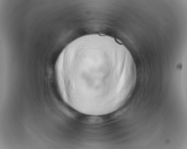 X0000091340087200709071227