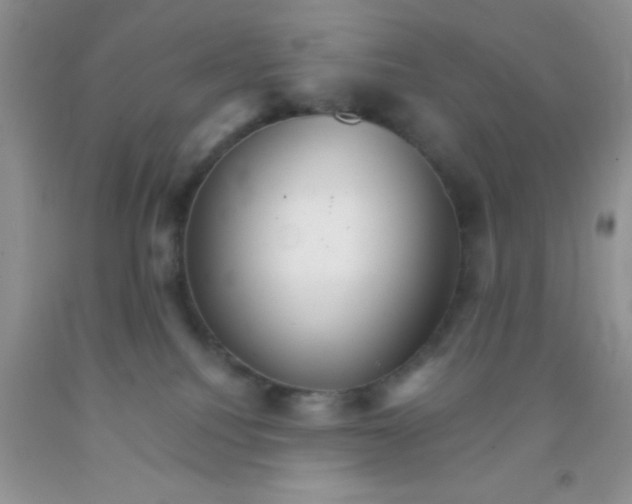 X0000091340088200709071227