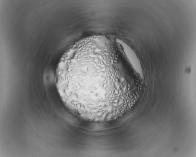 X0000091340089200709071227