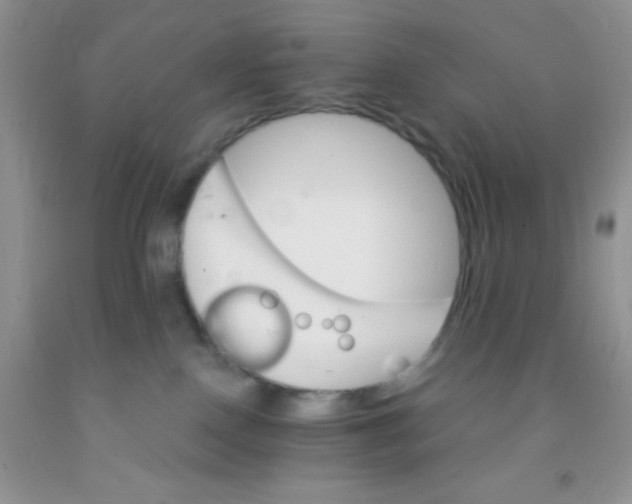 X0000091340090200709071227