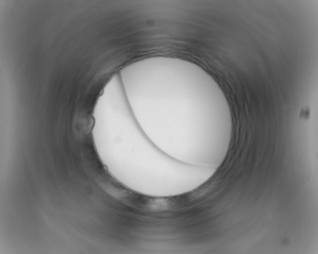 X0000091340091200709071227