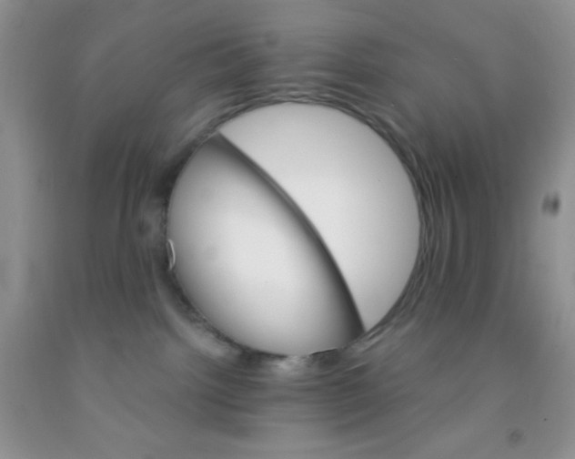 X0000091340092200709071227