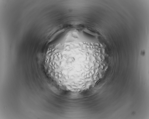 X0000091340093200709071227