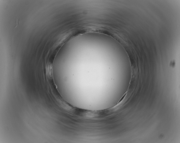 X0000091340094200709071227