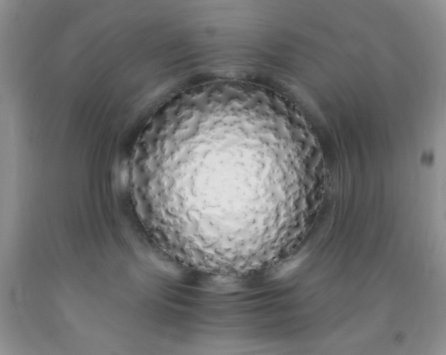 X0000091340095200709071227