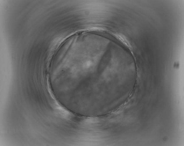 X0000091340097200709071226