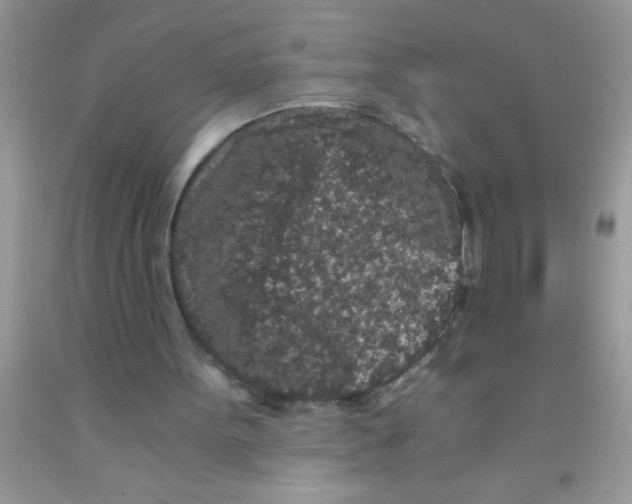 X0000091340099200709071226