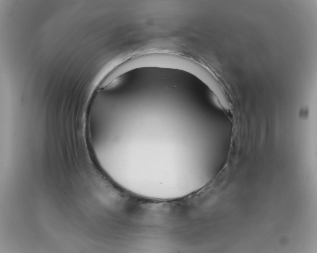 X0000091340100200709071226