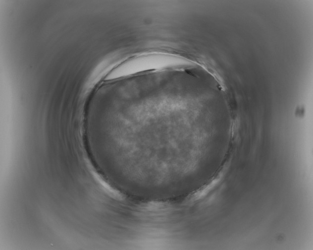 X0000091340101200709071226