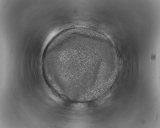 X0000091340102200709071226