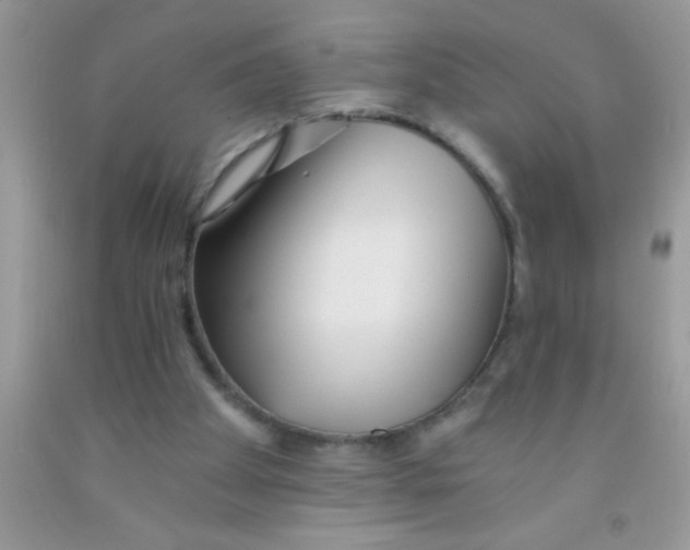 X0000091340105200709071226