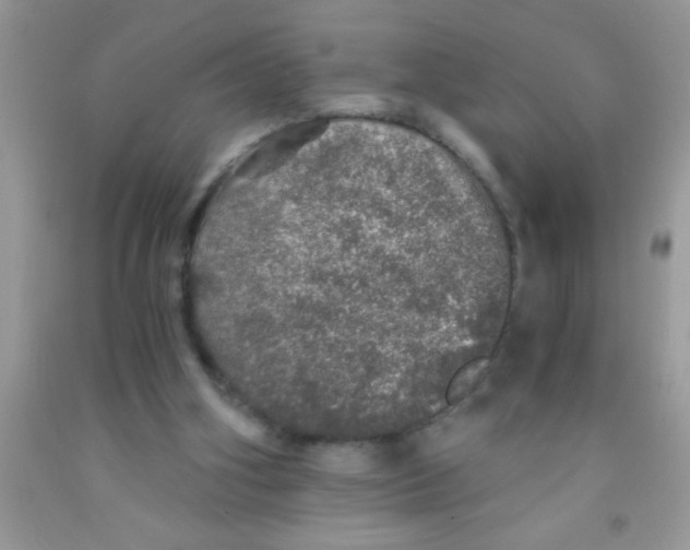 X0000091340106200709071226