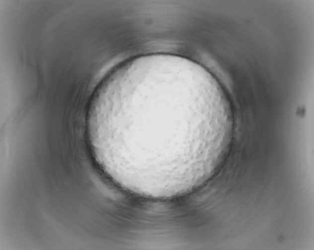 X0000091340107200709071226