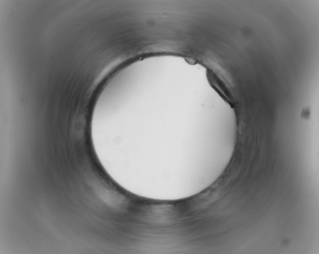 X0000091340108200709071226