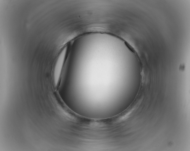 X0000091340109200709071226