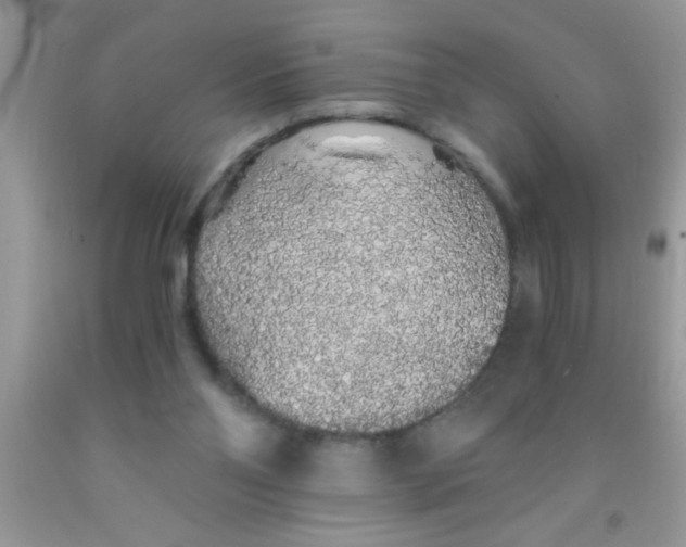 X0000091340110200709071226