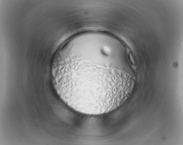 X0000091340111200709071226