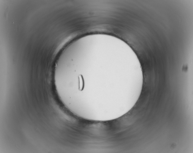 X0000091340112200709071226