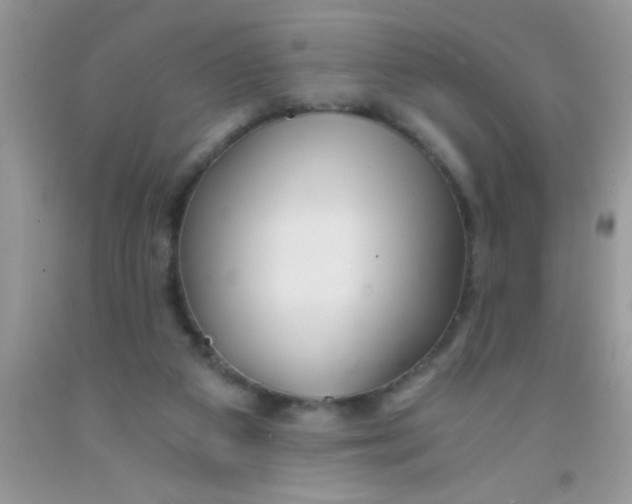 X0000091340113200709071226