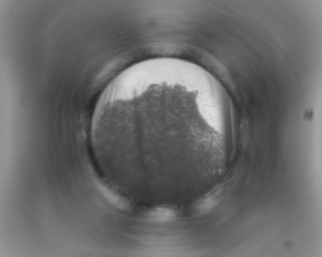 X0000091340114200709071226