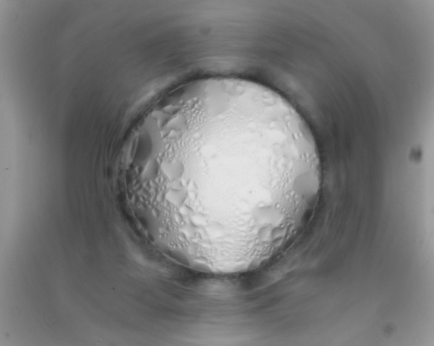 X0000091340115200709071226