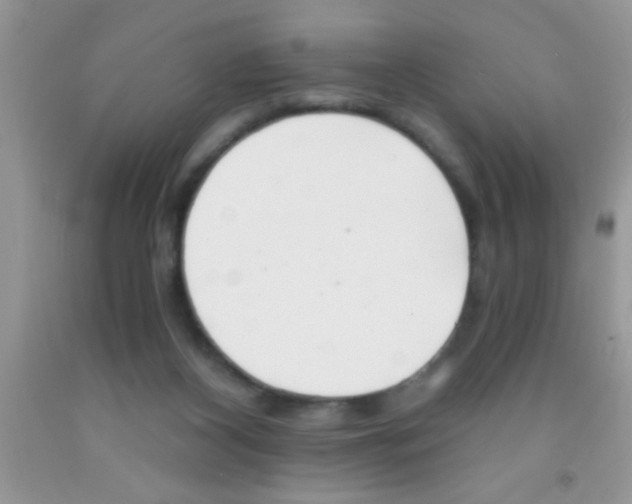 X0000091340116200709071226