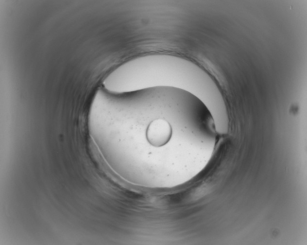 X0000091340117200709071226